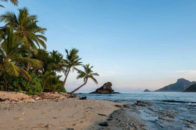 A serene sandy beach lined with palm trees at a secluded destination, perfect for travelers seeking private island resorts.
